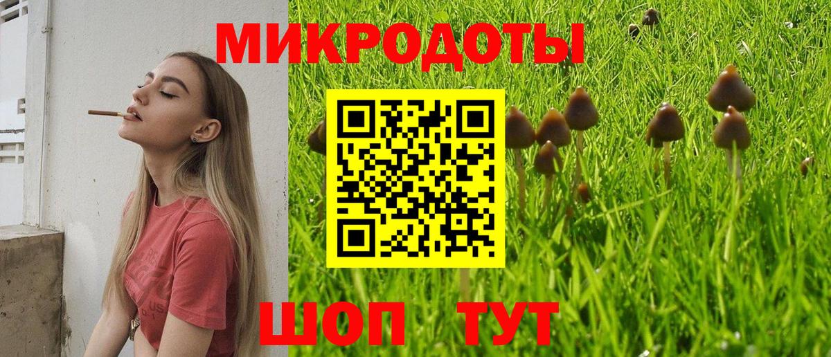 Псилоцибиновые грибы мицелий  где купить наркоту  Дмитров  Вход с VPN  Псилоцибиновые грибы Psilocybe 